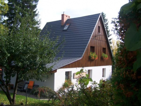 Отель Apartamenty Na Wzgórzu, Шклярска-Поремба